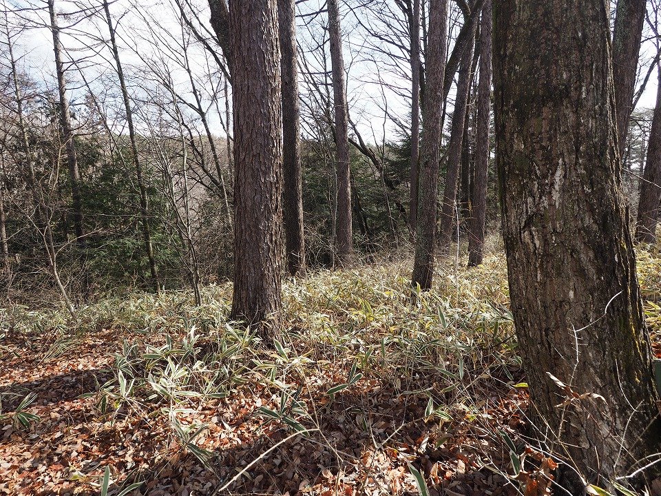 八ヶ岳で別荘を探すなら セラヴィリゾート泉郷
