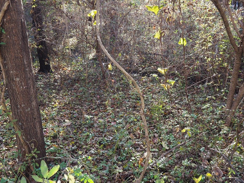 八ヶ岳で別荘を探すなら セラヴィリゾート泉郷