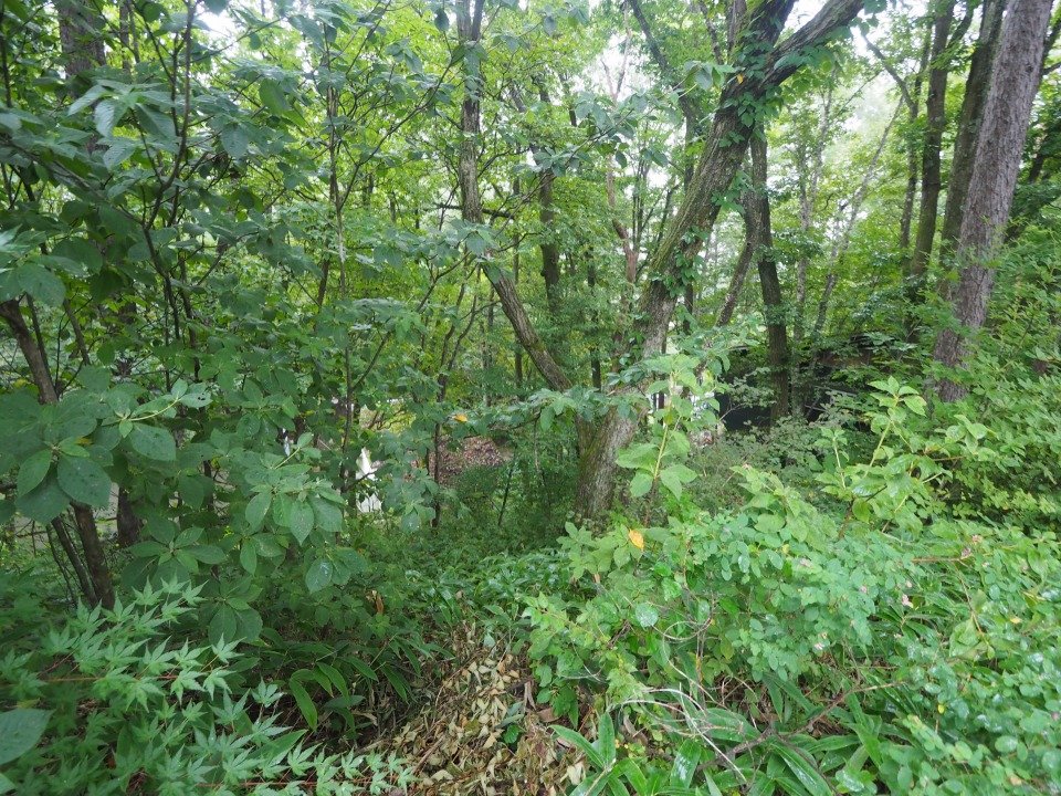 八ヶ岳で別荘を探すなら セラヴィリゾート泉郷