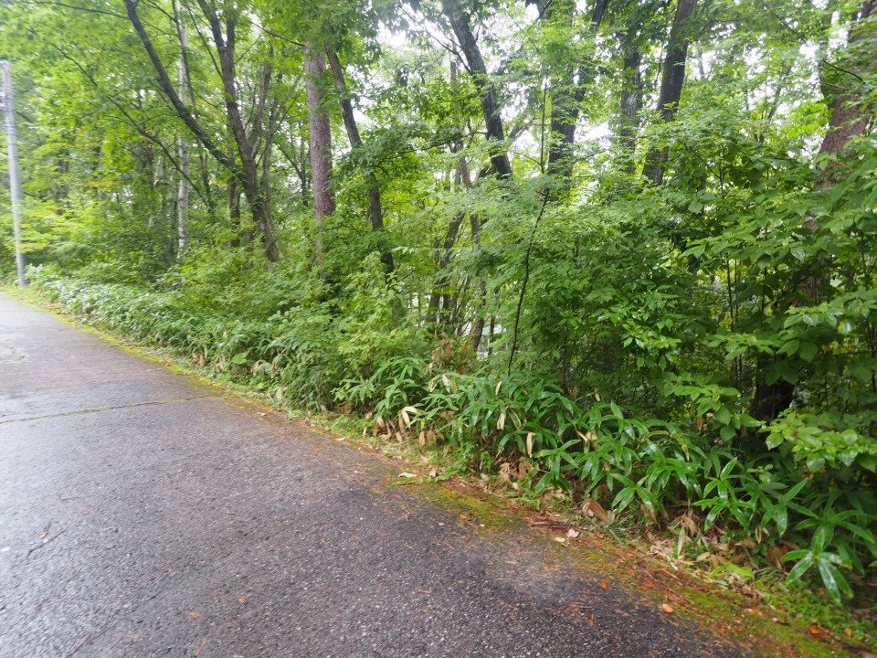 八ヶ岳で別荘を探すなら セラヴィリゾート泉郷