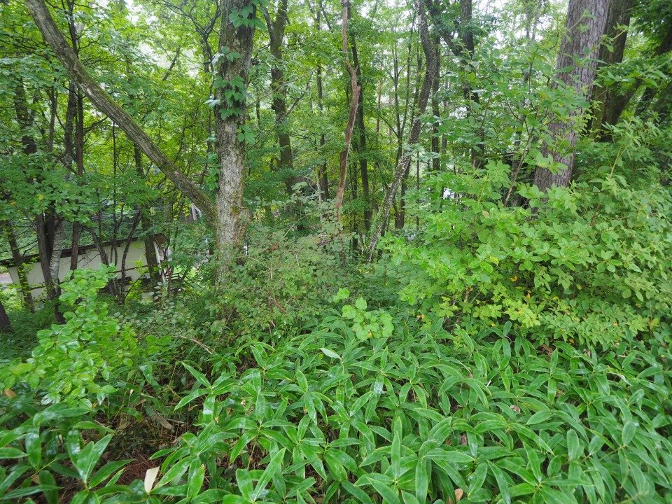 八ヶ岳で別荘を探すなら セラヴィリゾート泉郷