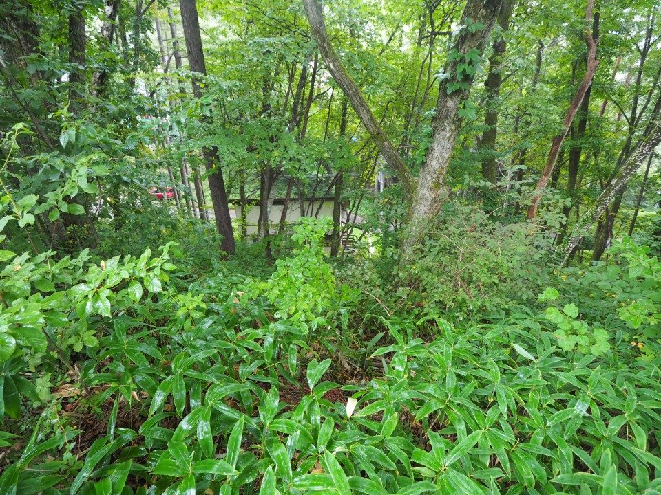 八ヶ岳で別荘を探すなら セラヴィリゾート泉郷