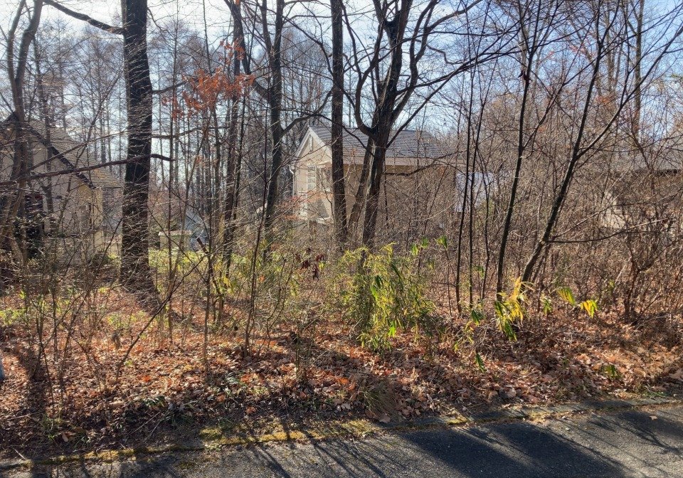 八ヶ岳で別荘を探すなら セラヴィリゾート泉郷