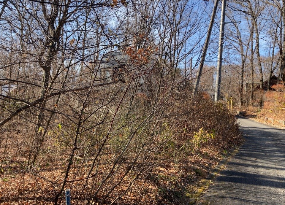 八ヶ岳で別荘を探すなら セラヴィリゾート泉郷