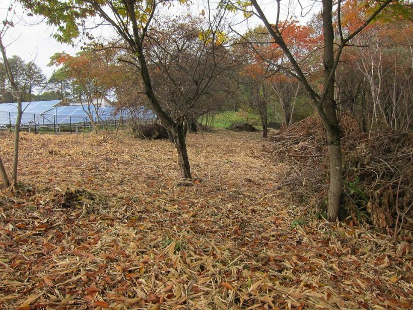 八ヶ岳で別荘を探すなら セラヴィリゾート泉郷