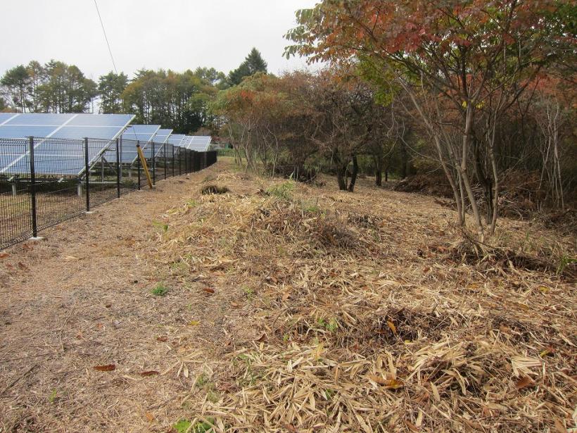 八ヶ岳で別荘を探すなら セラヴィリゾート泉郷