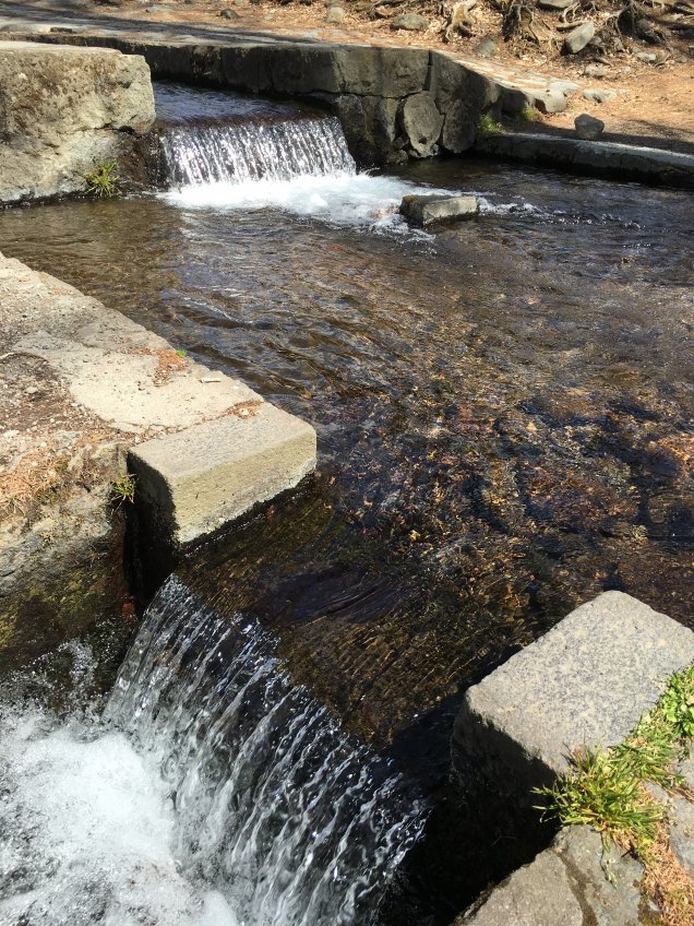 三分一湧水！泉郷の別荘で遊ぶように暮らす観光編