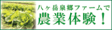 八ヶ岳泉郷ファームで農業体験！